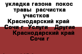 укладка газона, покос травы, расчистка участков, - Краснодарский край, Сочи г. Услуги » Другие   . Краснодарский край,Сочи г.